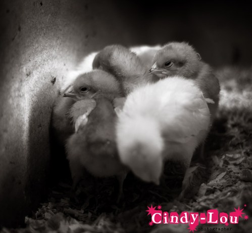 Waterstones Photo exhibition