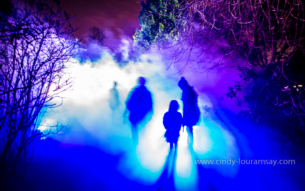 Mystical, Colourful, Gardens