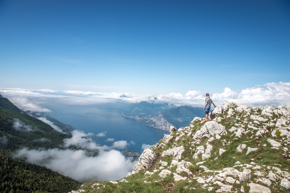 About Cindy-Lou Ramsay, Photographer, Horticulturist, Nature-lover...