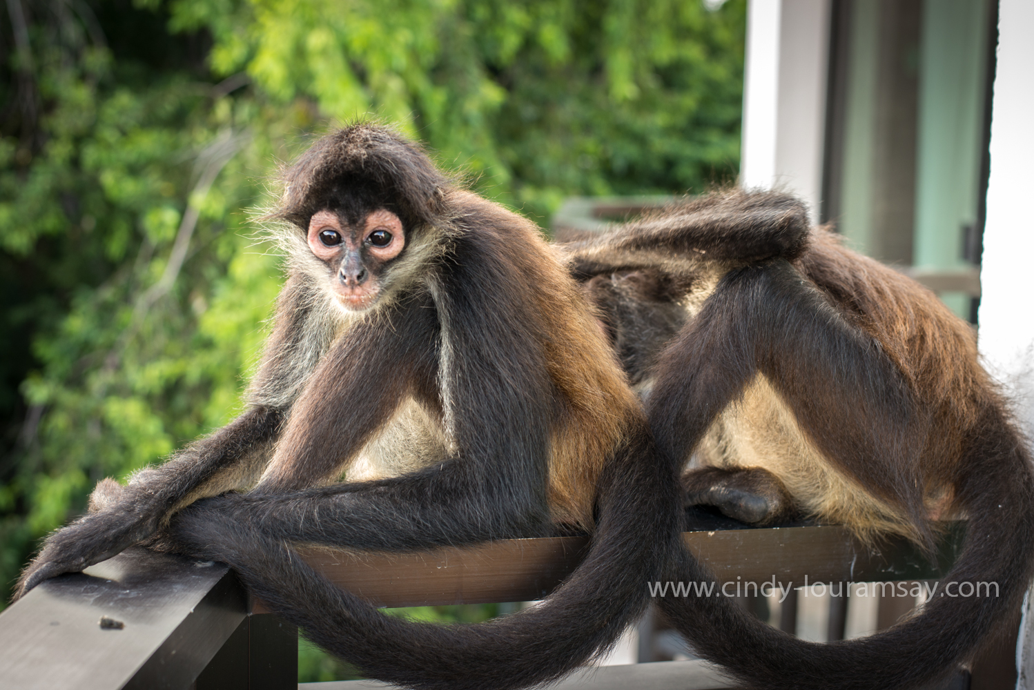 Reason why I travel...  No. 1