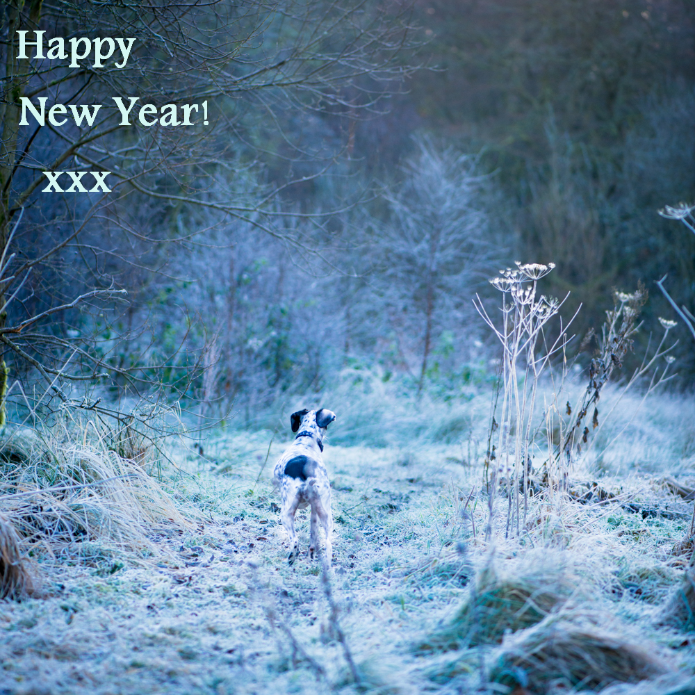 New Day, New Year, New Decade!