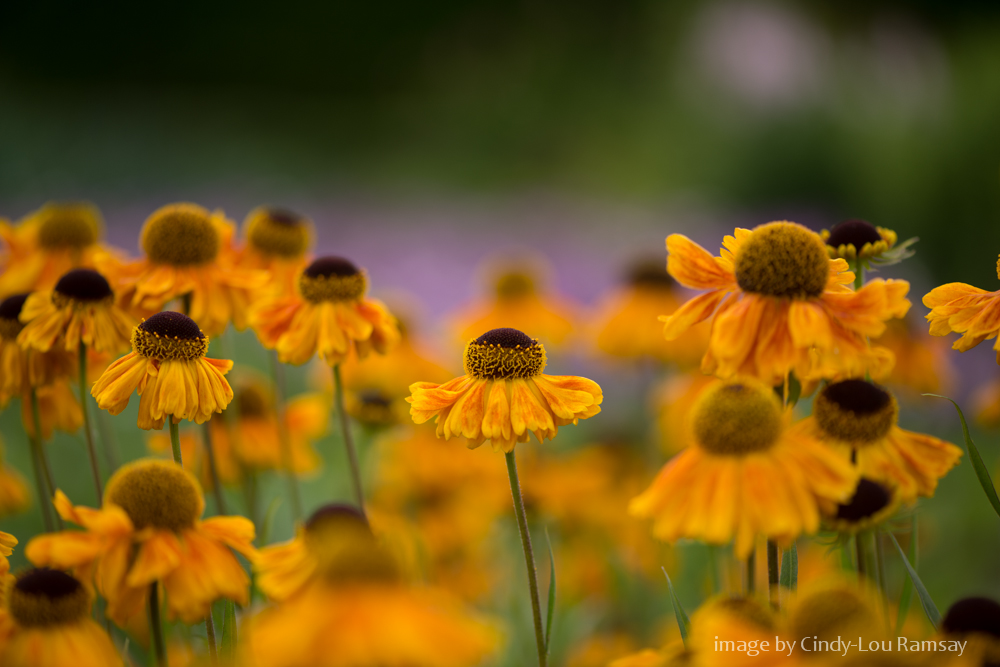 Cheerio 2022, hello 2023